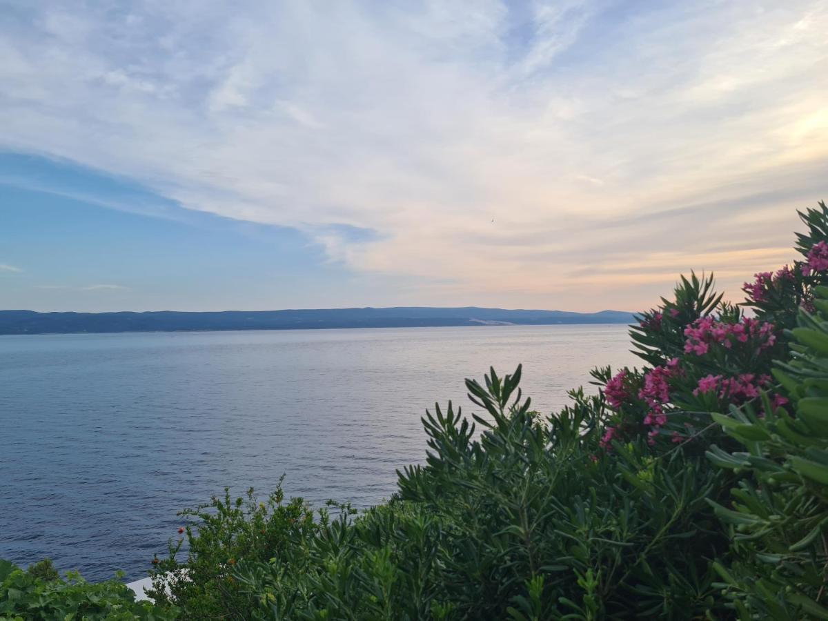 Apartments Rose Pisak Zewnętrze zdjęcie